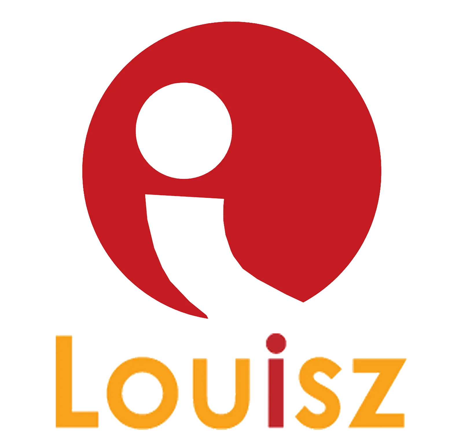 PT Louisz International