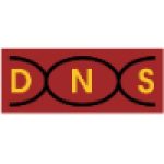 Logo PT Data Network Solusi