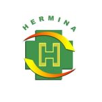 Logo RS Hermina