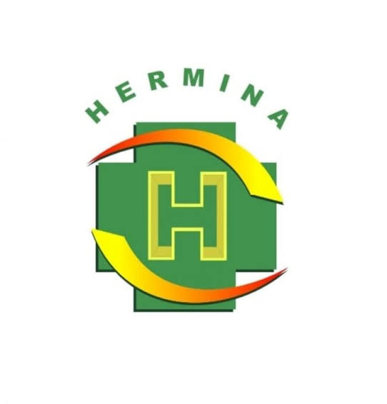 RS Hermina
