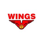 Logo WINGS GROUP